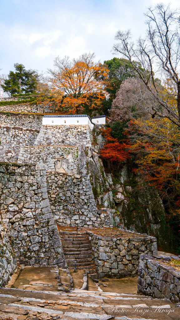 高梁市、備中松山城石垣