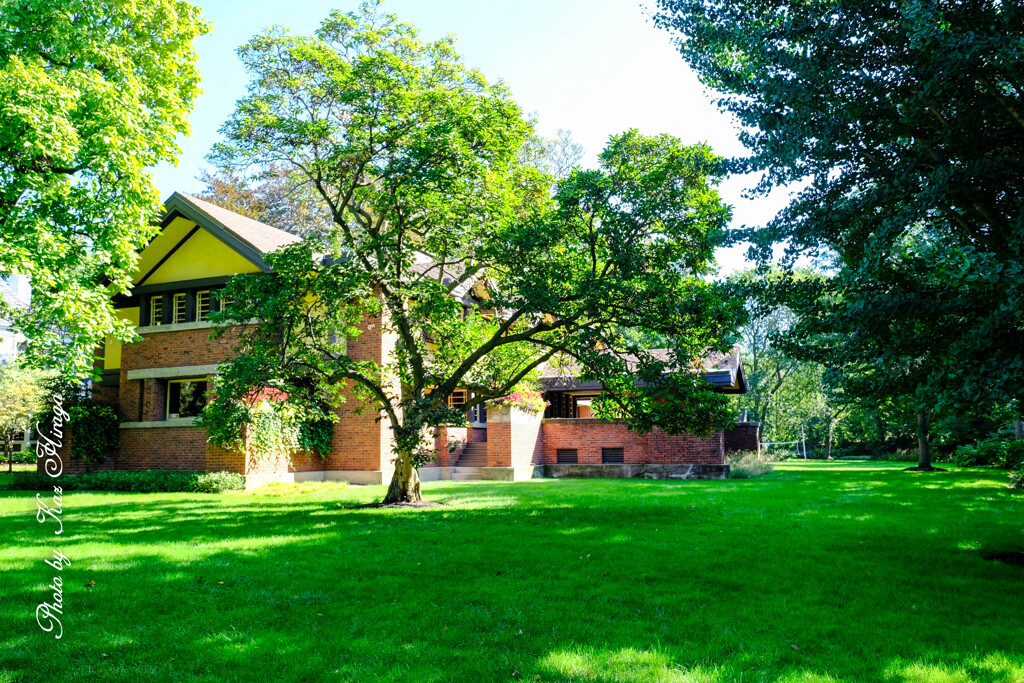Frank Lloyd Wright