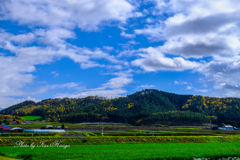 富良野の秋