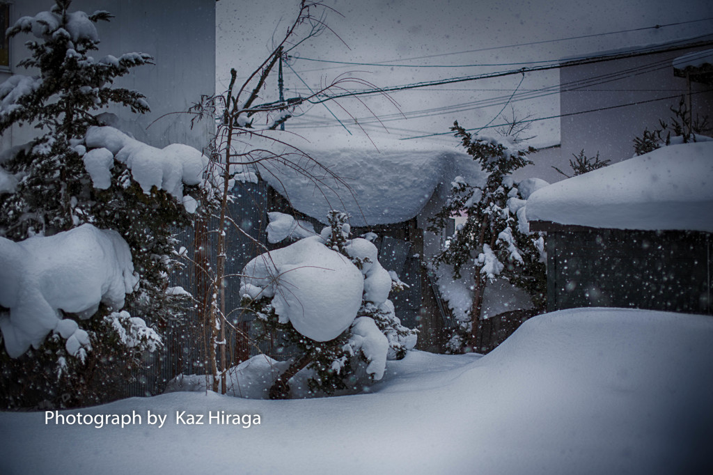 正月なのに雪なんて