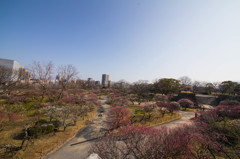 福岡、鶴賀城址公園　4