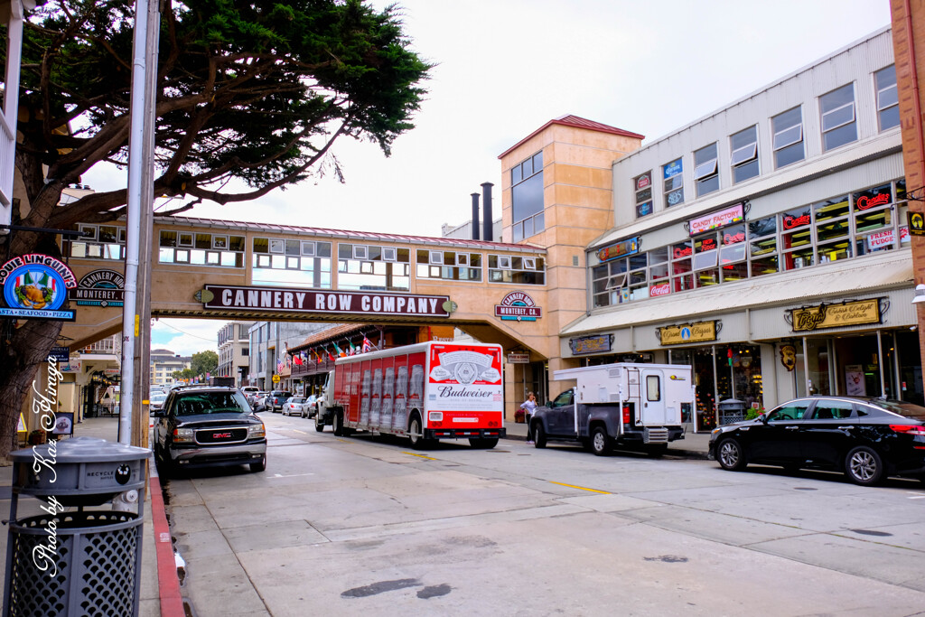 Cannery Row Street