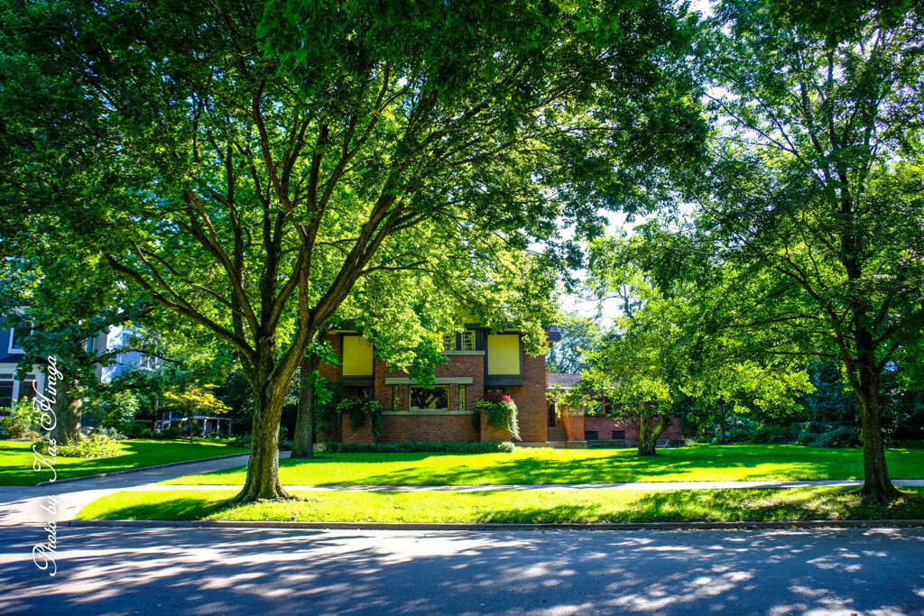 Frank Lloyd Wright