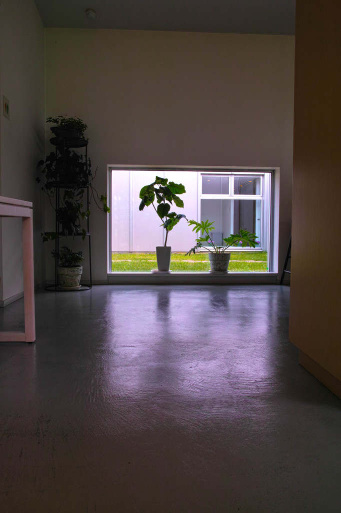 美瑛、レストラン