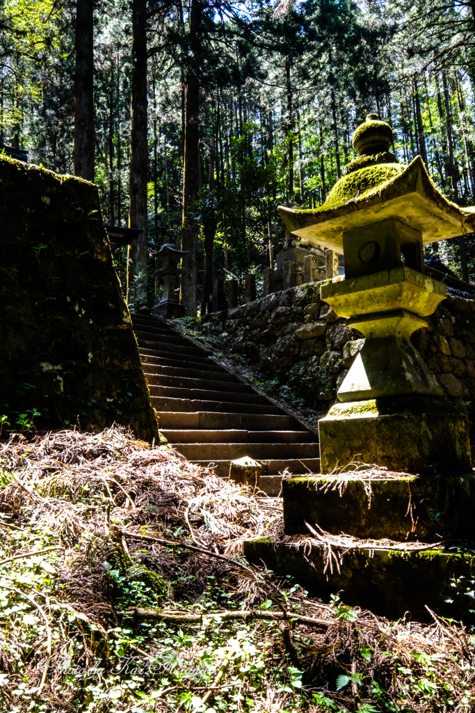上色見熊野座神社　5