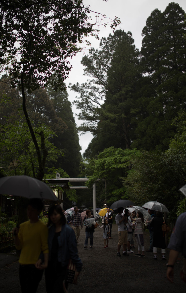 天岩戸神社参拝　1