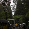 天岩戸神社参拝　1