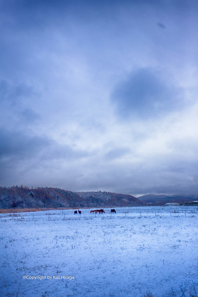 Starts of winter　2