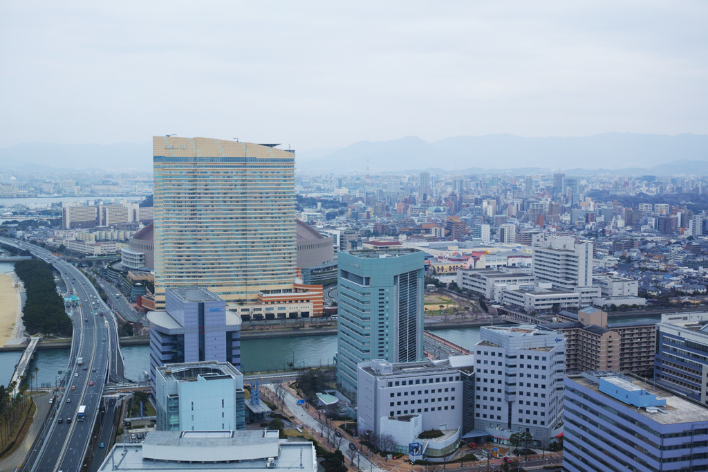 タワーから福岡の街　4