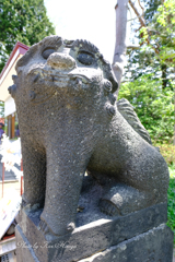 笑う狛犬、男の子