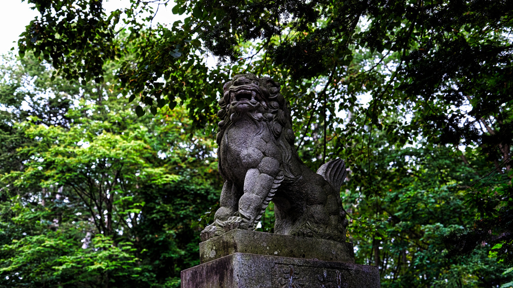 朝の参拝