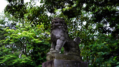 朝の参拝