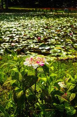 午後の公園にて-10