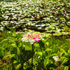 午後の公園にて-10