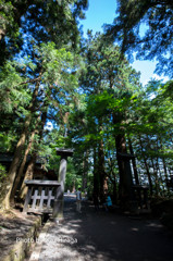 中尊寺参道