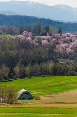 2014上富良野町深山峠