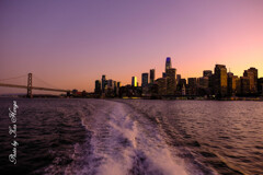 Goodbye San Francisco