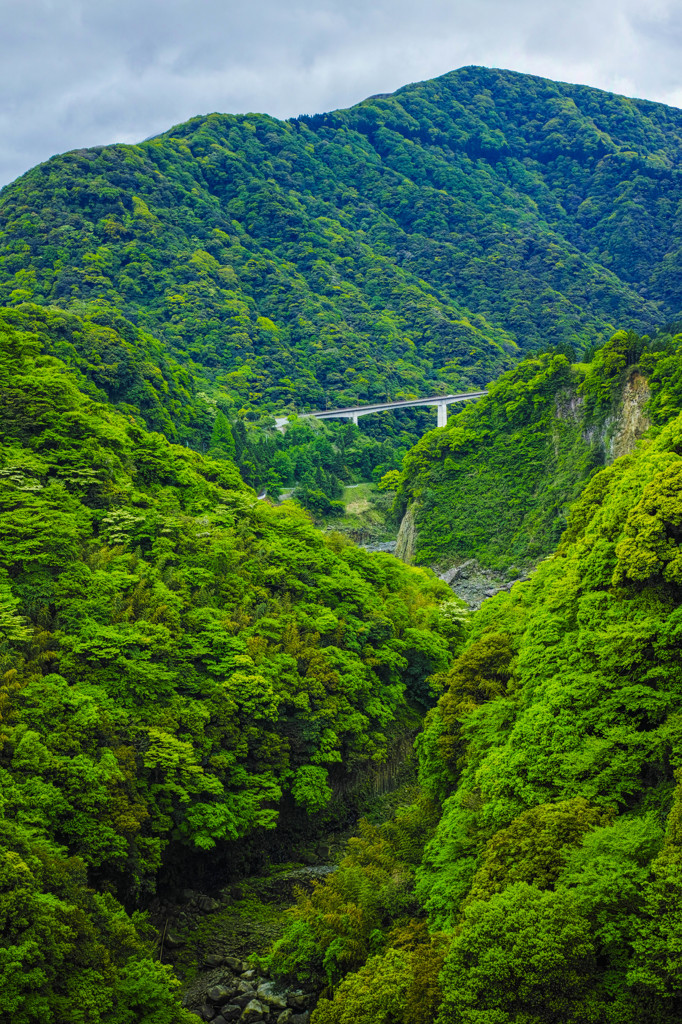 阿蘇大橋付近、下流