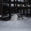 冬の旭山動物園