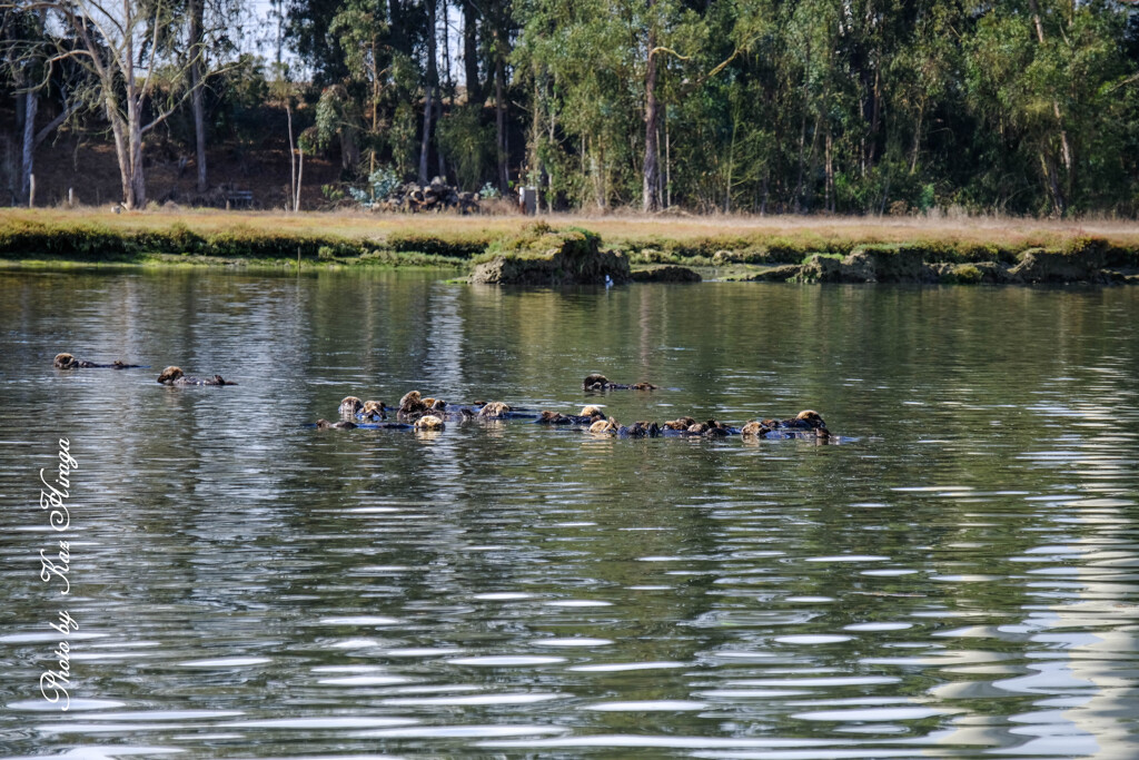 Moss Landing, California