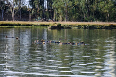 Moss Landing, California