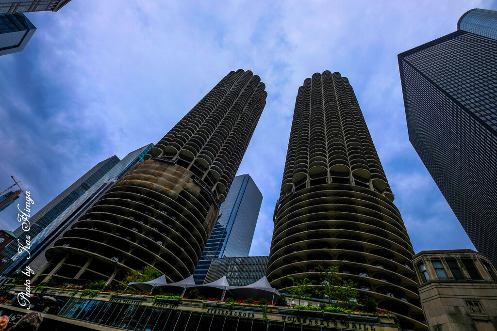 marina city（Corn cob）