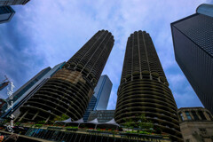 marina city（Corn cob）