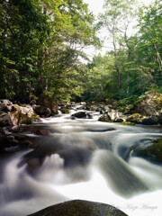 布部川上流辺り