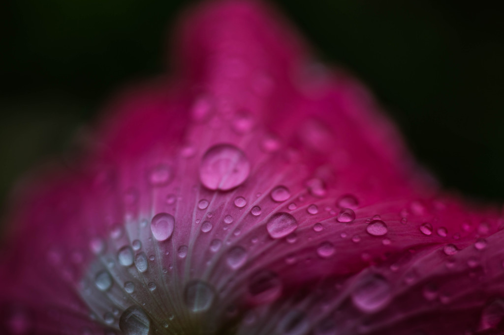 雨滴-4