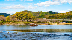 山口県岩国市、錦帯橋屋形船