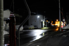 夜散歩
