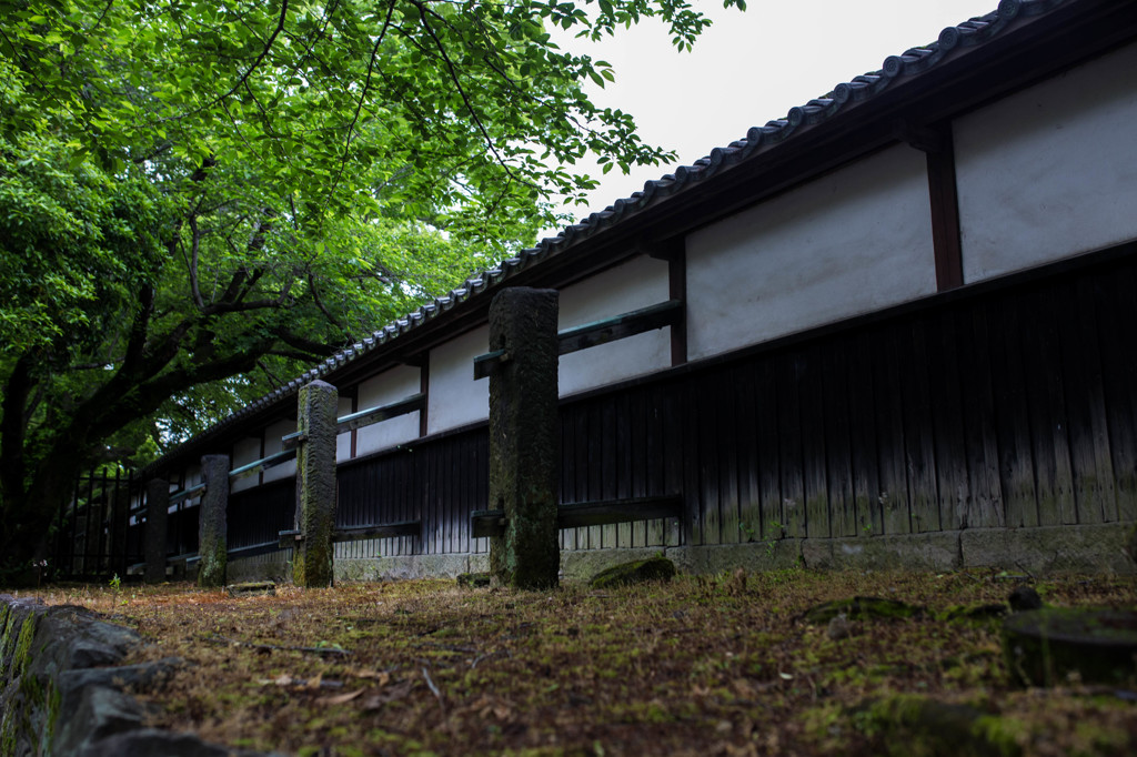 朝の散歩、熊本城　6