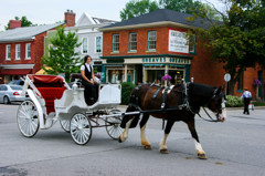 Niagara on the Lake 016