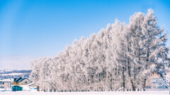 -17.9℃の朝