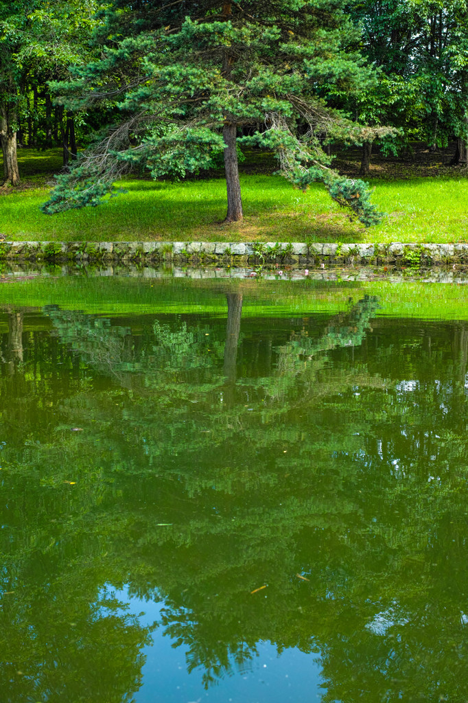 午後の公園にて-3