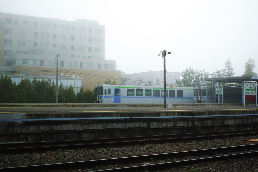 富良野でお散歩、朝霧と気動車