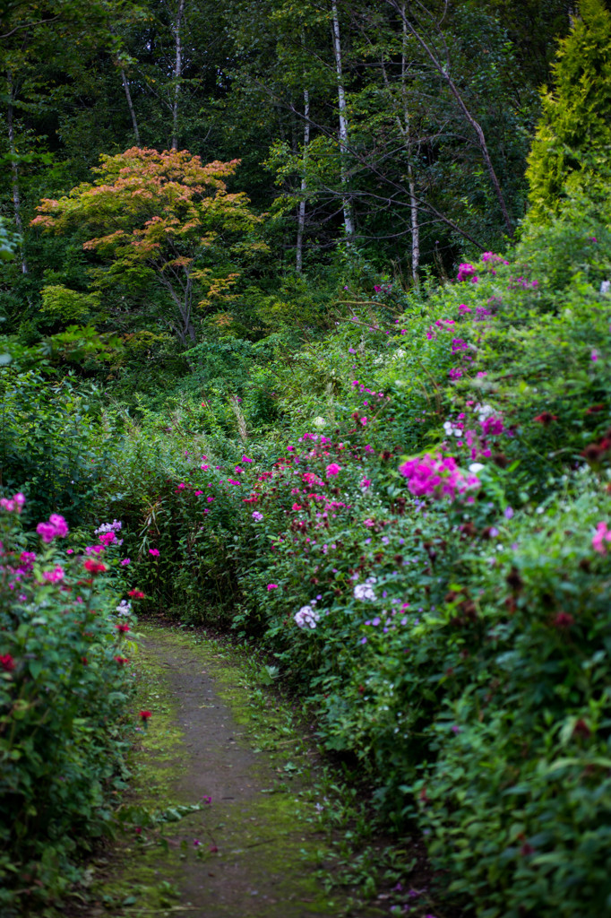 滝上町陽殖園　7