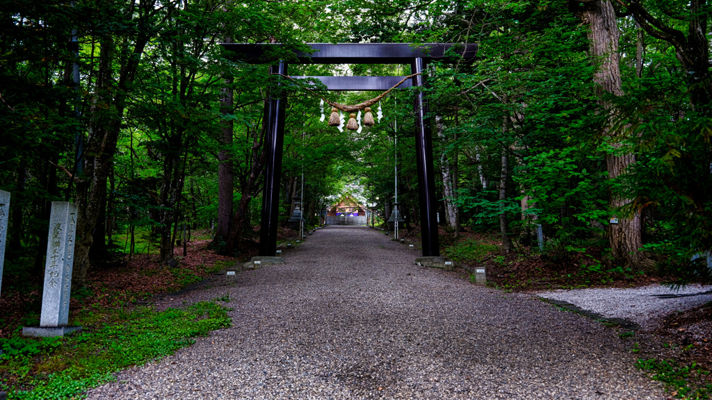 朝の参拝