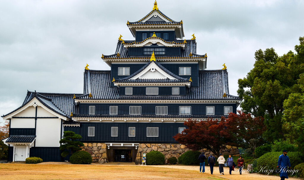 岡山、烏城公園 岡山城