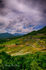 丸山千枚田遠景