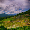 丸山千枚田遠景