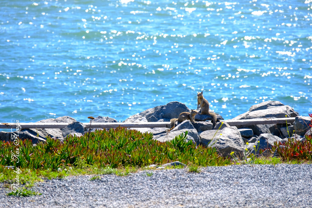 RICHMOND BAY TRAIL