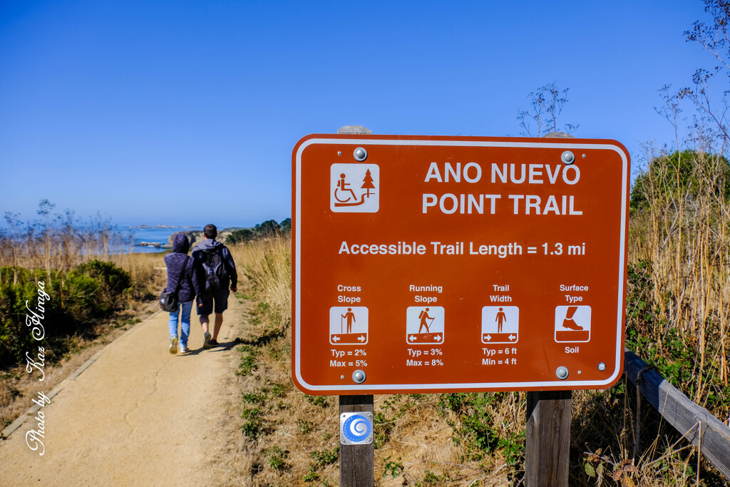 Año Nuevo State Park
