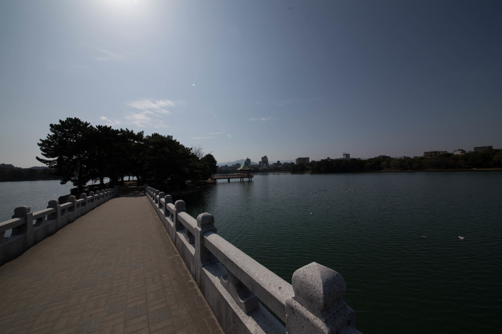 博多、大濠公園を歩く　6