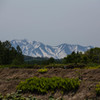 十勝連峰を望む