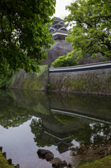 朝の散歩、熊本城　7