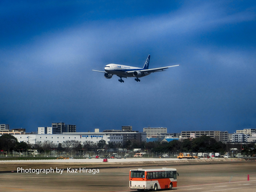 ANAシステム障害の一日　福岡空港