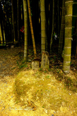熊野古道、三軒茶屋