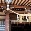 水前寺公園　2