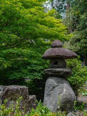 須坂　田中本家